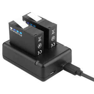 Battery Dual Charger Combo