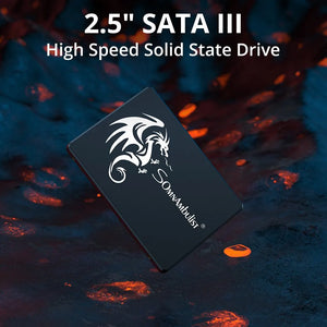 SSD High-Performance Storage for PCs and Laptops