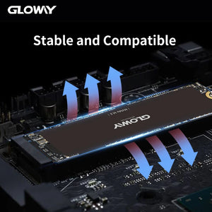 Gloway NVMe SSD 512GB/1TB PCIe 4.0 M.2 Internal Solid State Drive