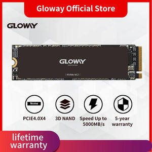 Gloway NVMe SSD 512GB/1TB PCIe 4.0 M.2 Internal Solid State Drive