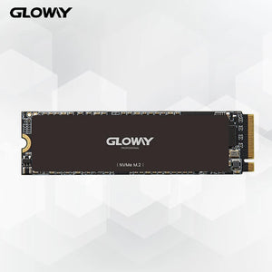 Gloway NVMe SSD 512GB/1TB PCIe 4.0 M.2 Internal Solid State Drive