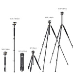 Load image into Gallery viewer, Camera Lightweight Travel Tripod Stand
