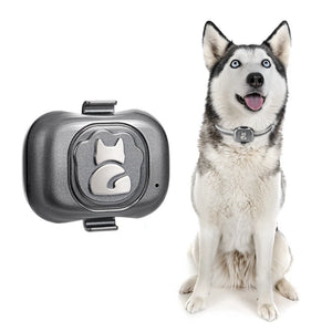 Waterproof 4G GPS Tracker for Dogs