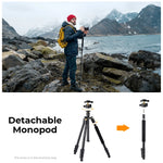 Load image into Gallery viewer, Camera Lightweight Travel Tripod Stand
